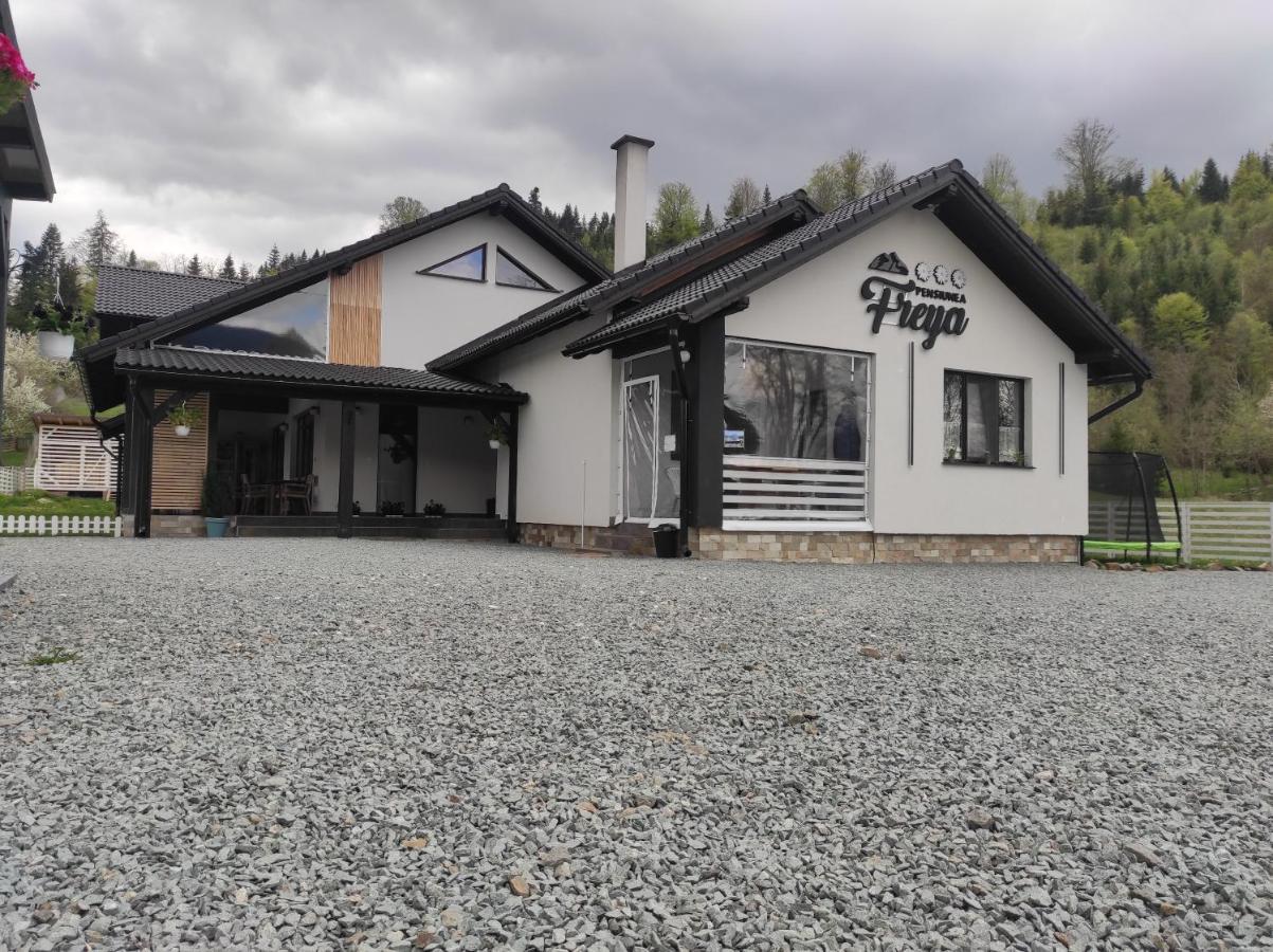 Pensiunea Freya Colibiţa Exterior foto